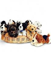 Laying Dogs Basket