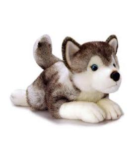 Husky