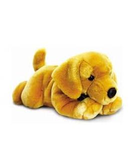 Yellow Labrador