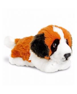St Bernard