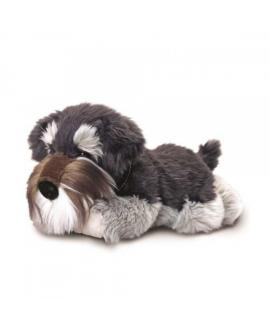Grey Schnauzer