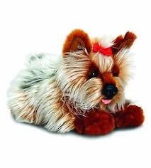 Yorkie