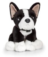 Boston Terrier