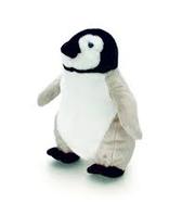 Baby Emperor Penguin