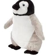 Baby Emperor Penguin