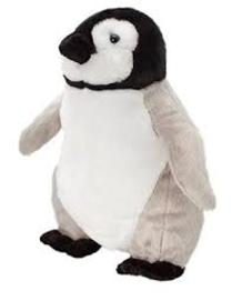 Baby Emperor Penguin